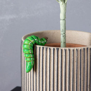 Pot Hanger - Cory the Caterpillar