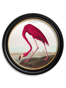Wall Art - 44cm Flamingo Audubon