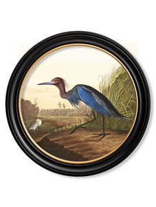 Wall Art - 44cm Blue Heron Audubon