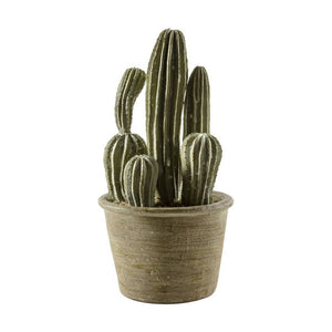 Faux Plant - Cactus San Pedro