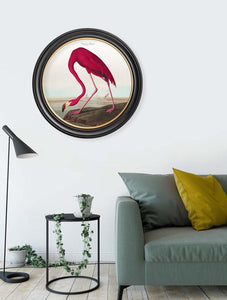 Wall Art - 44cm Flamingo Audubon