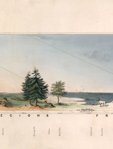 Wall Art - View of Nature C.1852