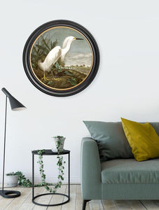 Wall Art - 70cm Snowy Heron Audubon